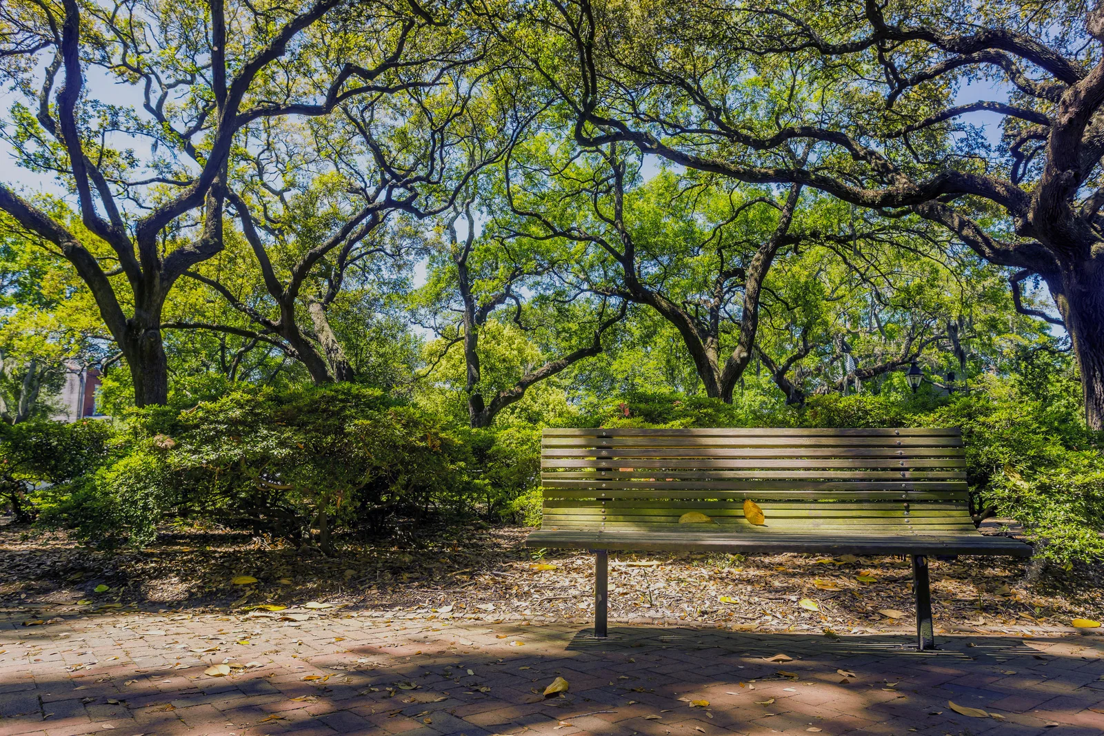 Área verde próxima ao empreendimento